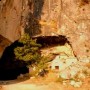 Grecja: Zagadki „Jaskini Fauna” 