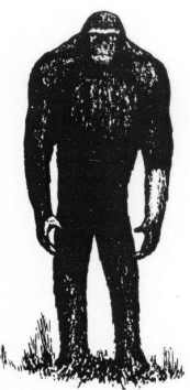Rysunek przedstawiający legendarnego rosyjskiego hominida