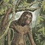 Orang-pendek: Dziki człowiek na wyciągnięcie ręki