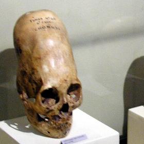 Dziwne odkrycie w sprawie czaszek Paracas
