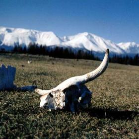Wrota Piekieł: Diabelski Cmentarz na Syberii
