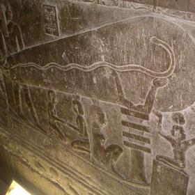 Światło z Dendery - czy starożytni znali elektryczność?